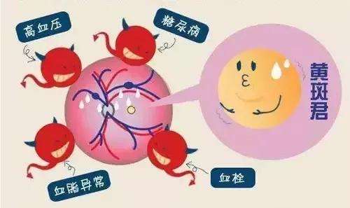 眼底病科科室概况